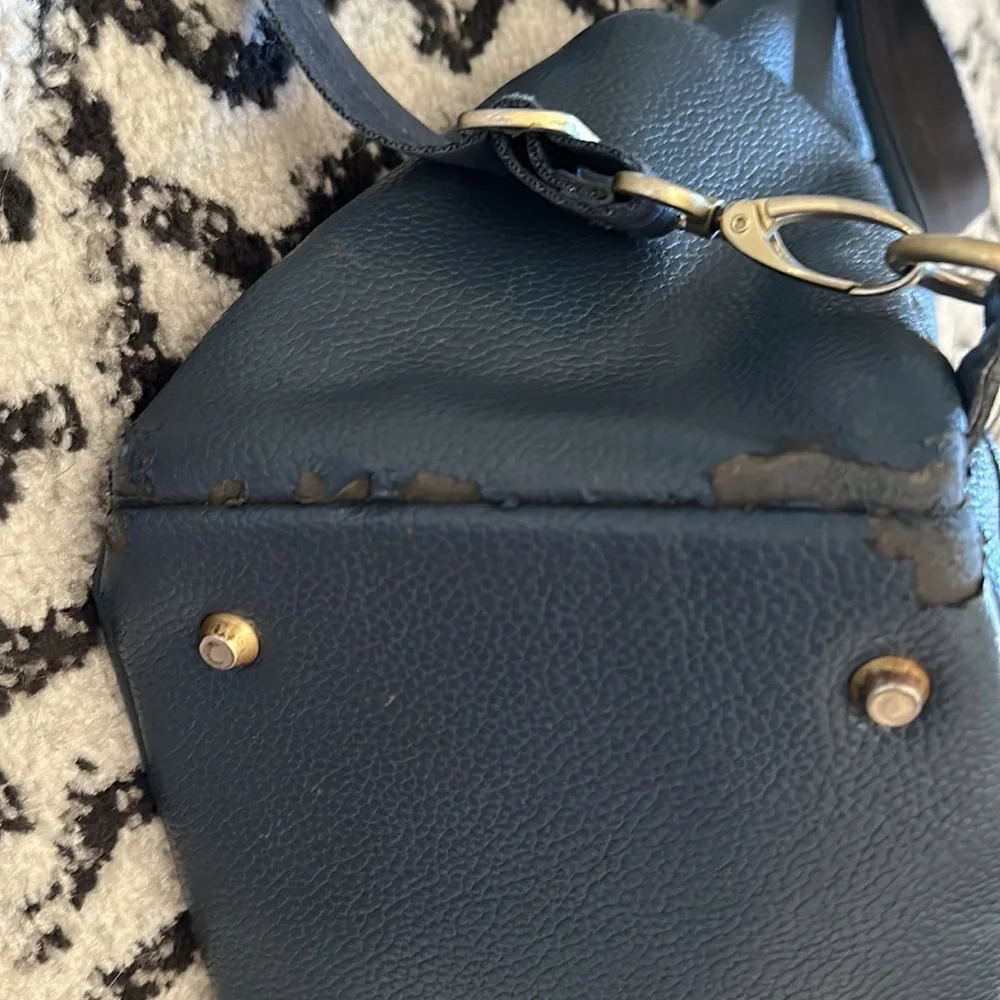 Freshly picked diaper bag/backpack FP
